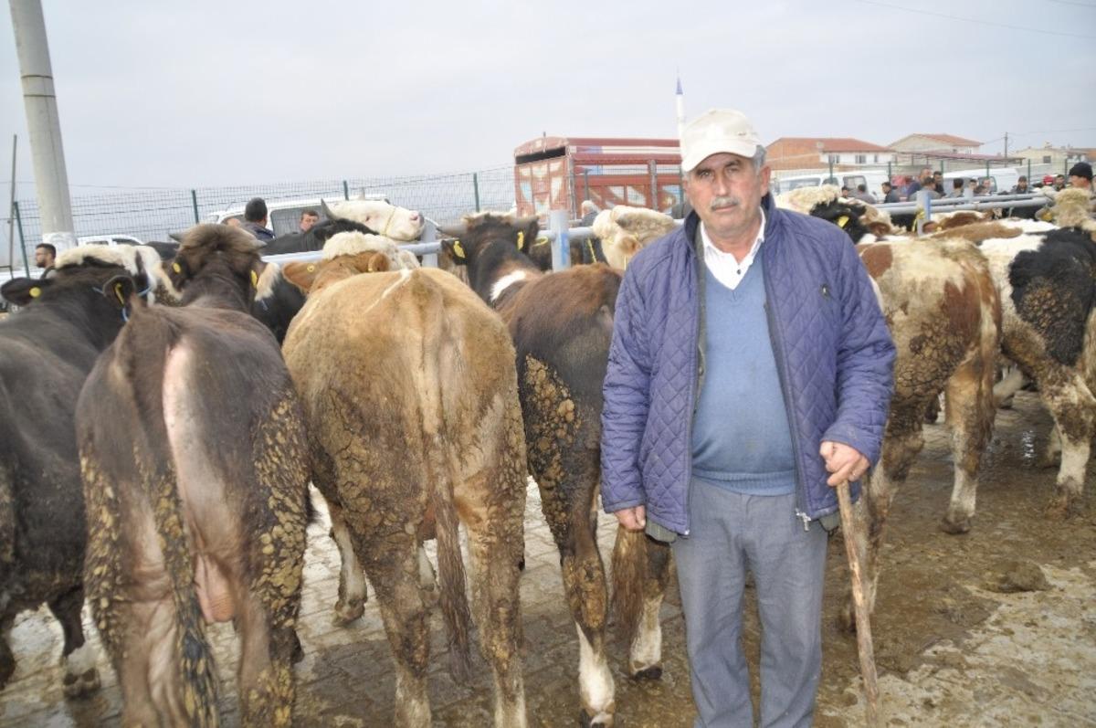 Afyonkarahisar&rsquo;da b&uuml;y&uuml;kbaş hayvan &uuml;reticileri yem fiyatlarından dertli