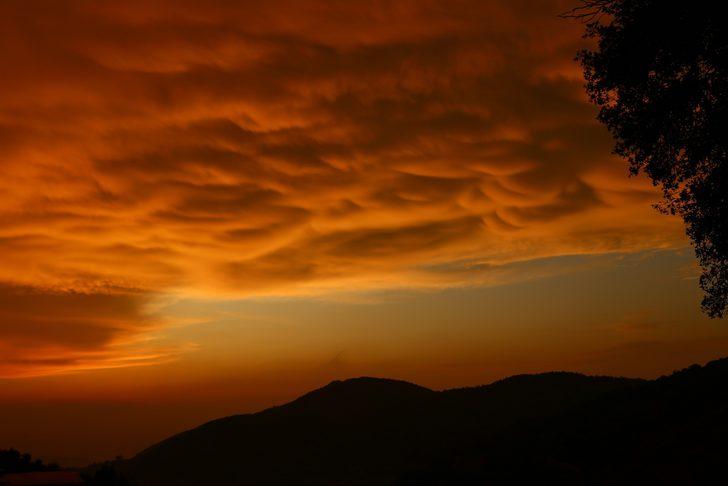 Hatay'da memeli bulut heyecanı! G3