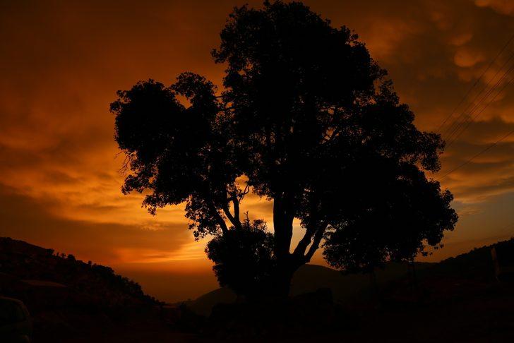 Hatay'da memeli bulut heyecanı! G4