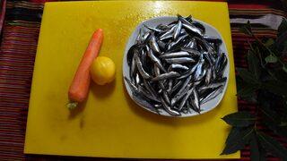 Karadeniz'de hamsi salamurası zamanı