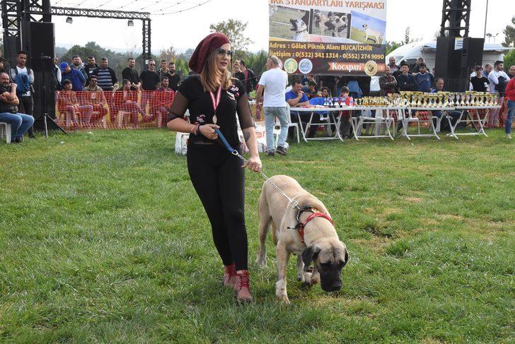 İzmir'de çoban köpekleri yarıştı! G1
