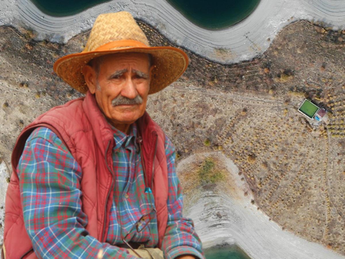 Diktiği 3 bin 500 fidanla adaya can verdi