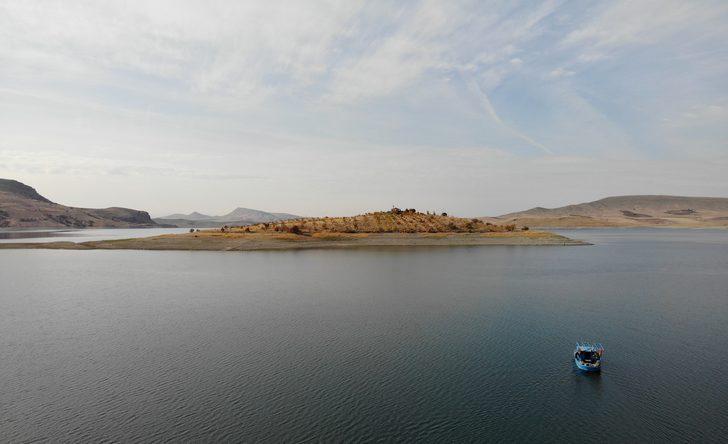 Diktiği 3 bin 500 fidanla adaya can verdi G5