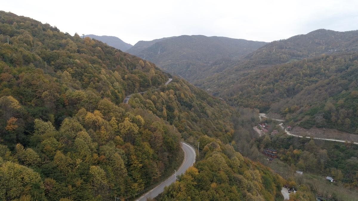 Kocaeli ormanlarında renk c&uuml;mb&uuml;ş&uuml;