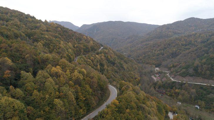 Kocaeli ormanlarında renk cümbüşü G3