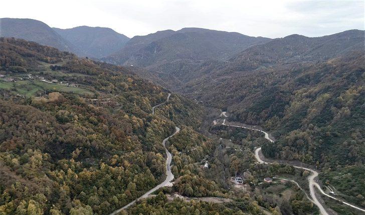 Kocaeli ormanlarında renk cümbüşü G4