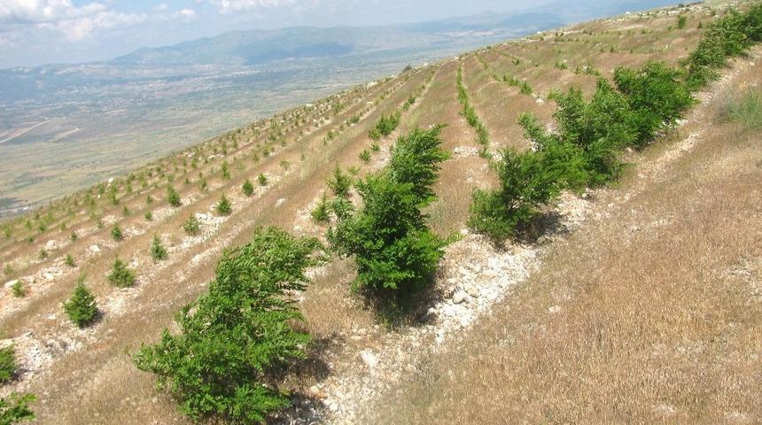 &Ouml;zdemir; &ldquo;Suyu d&uuml;şt&uuml;ğ&uuml;, toprağı oluştuğu yerde tut&rdquo;