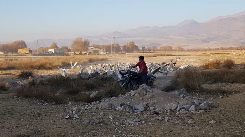 13 yıldır kurulan dostluk g&ouml;renleri şaşırtıyor