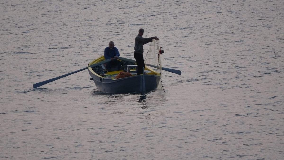 Hamsinin bol ve ucuz olması  onları olumsuz etkiledi