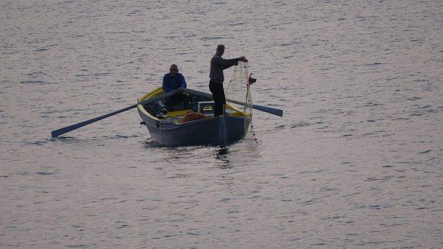 Hamsinin bol ve ucuz olması  onları olumsuz etkiledi