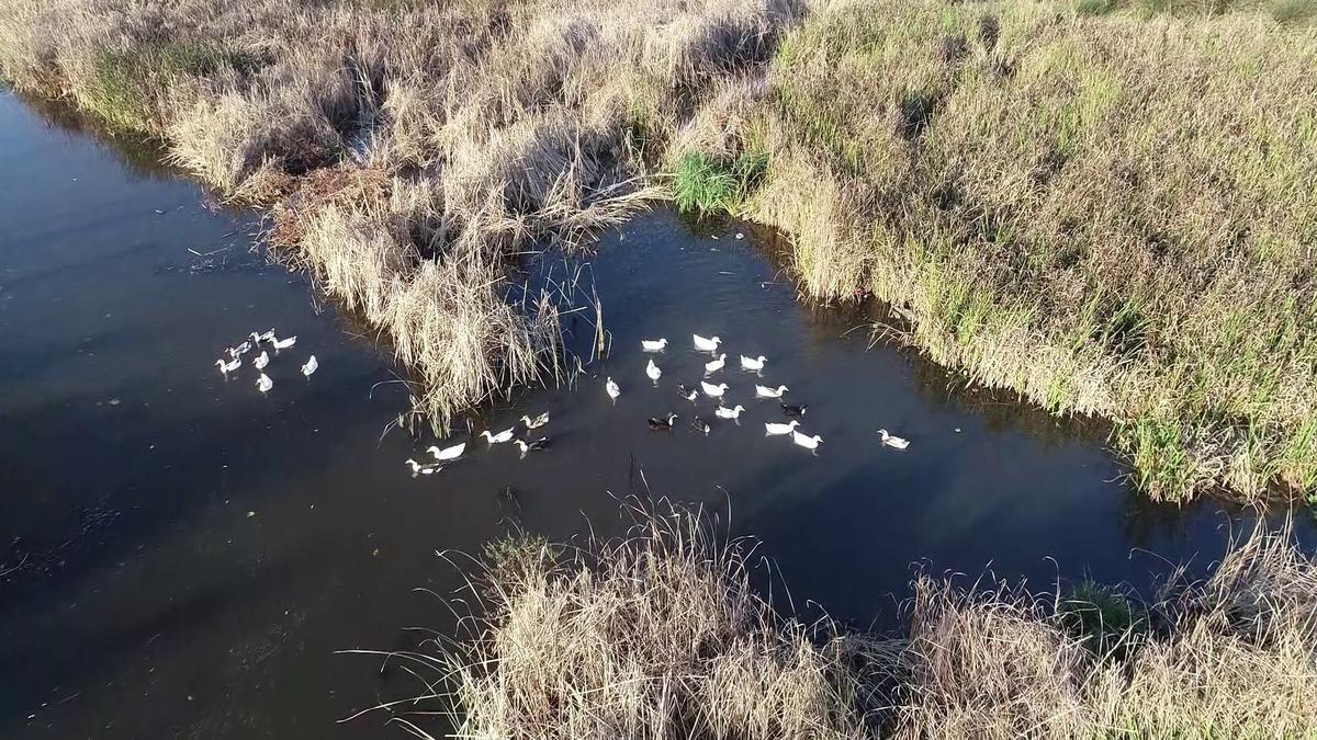 Karadeniz'in incisi: G&ouml;lyazı