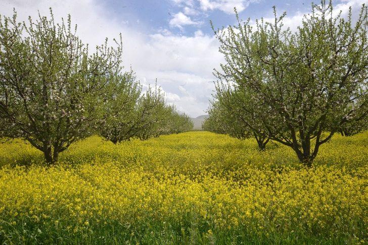 Karaman’da 104 bin dekar tarım arazisi sulandı G4