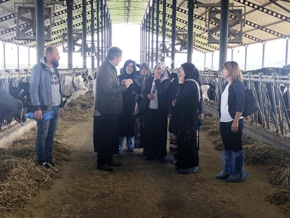 Aydın&rsquo;da kadın &ccedil;ift&ccedil;iler hayvan &ccedil;iftliğini gezdi