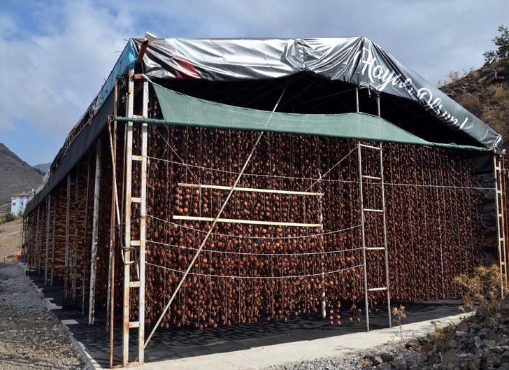 Cennet hurmasını kurutup 1 lira yerine 23 liradan satıyor G5