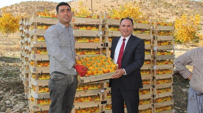 M&uuml;d&uuml;r Alan, hurma hasadını yerinde g&ouml;rd&uuml;