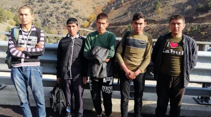 Niğde'de 5 kaçak göçmen yakalandı