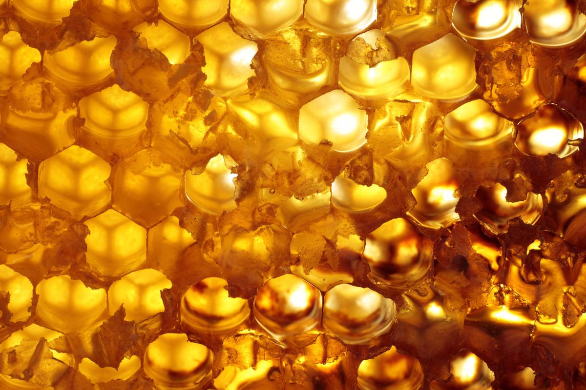 Kestane balı tam bir şifa deposu