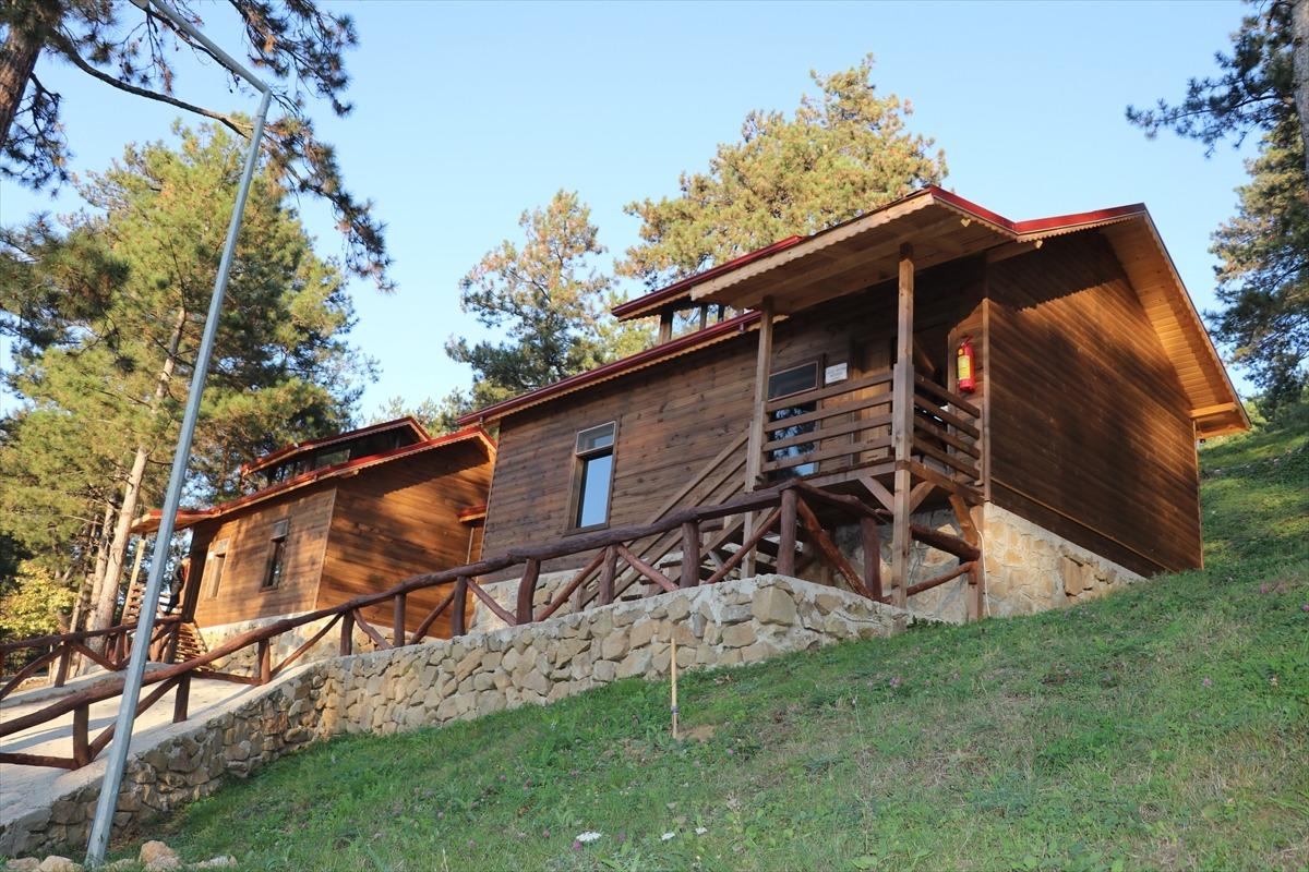 Karab&uuml;k'te doldurulmuş hayvanlar m&uuml;zede sergileniyor