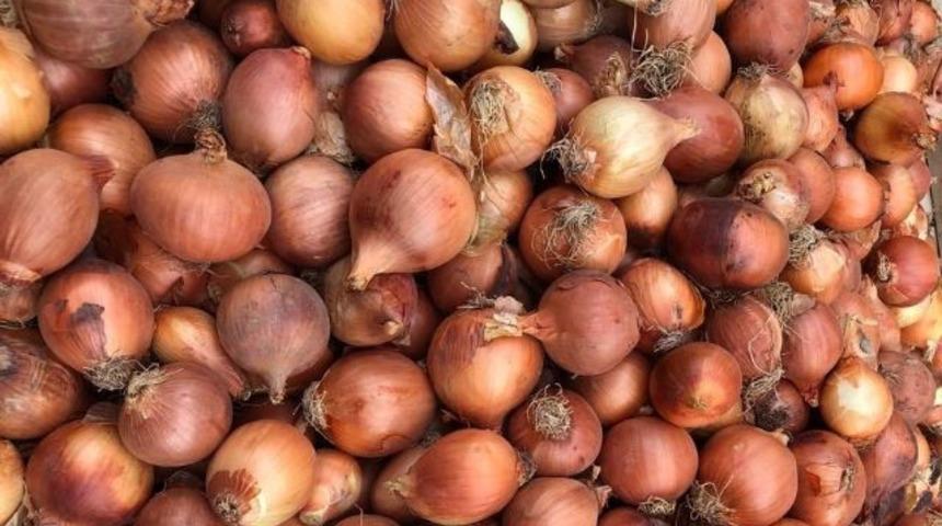 Patates ve kuru soğanla ilgili son dakika gelişmesi! Yurt dışına satışına kısıtlama getirildi