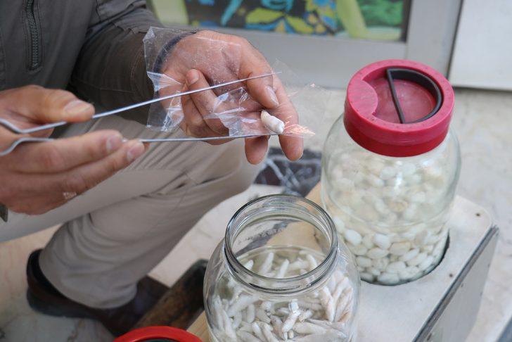 Kenger sakızı nedir? Kenger sakızı bir ay çiğnenebiliyor! G3