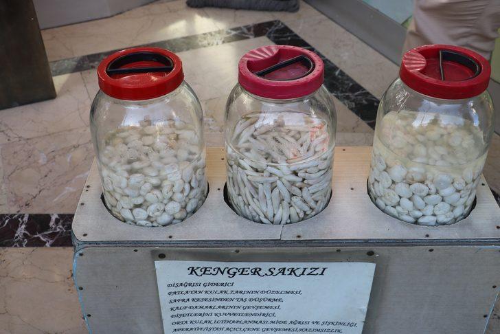 Kenger sakızı nedir? Kenger sakızı bir ay çiğnenebiliyor! G4