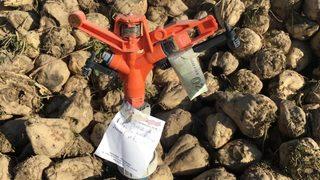 Tarladan aldığı pancarın parasını fıskiyeye bıraktı