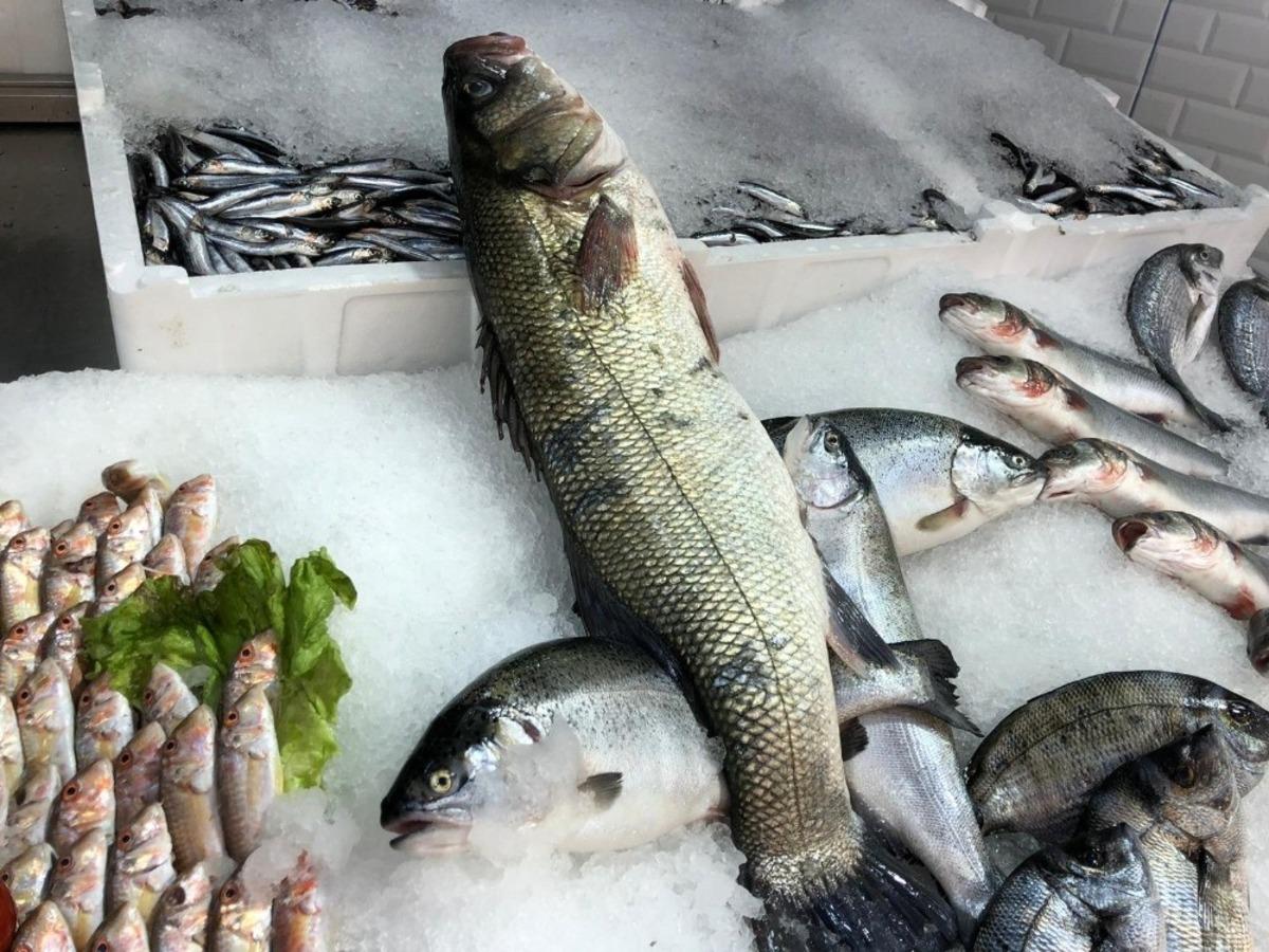 Sinop&rsquo;ta balık&ccedil;ılara denizden s&uuml;rpriz &ccedil;ıktı