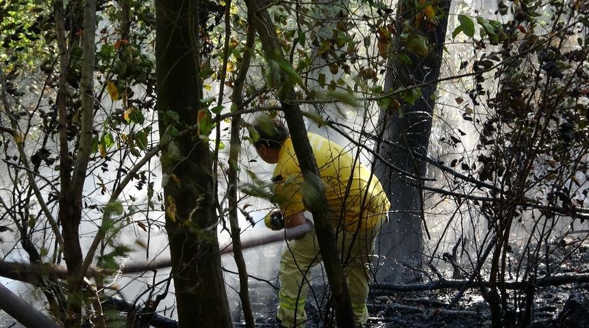 Ormanlık alandaki yangın ekiplerce s&ouml;nd&uuml;r&uuml;ld&uuml;
