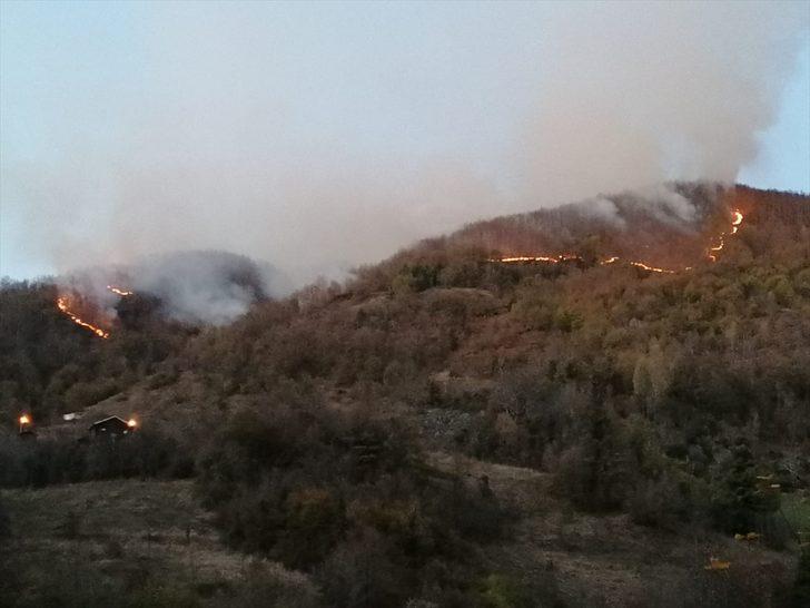 Kastamonu'da orman yangını G1