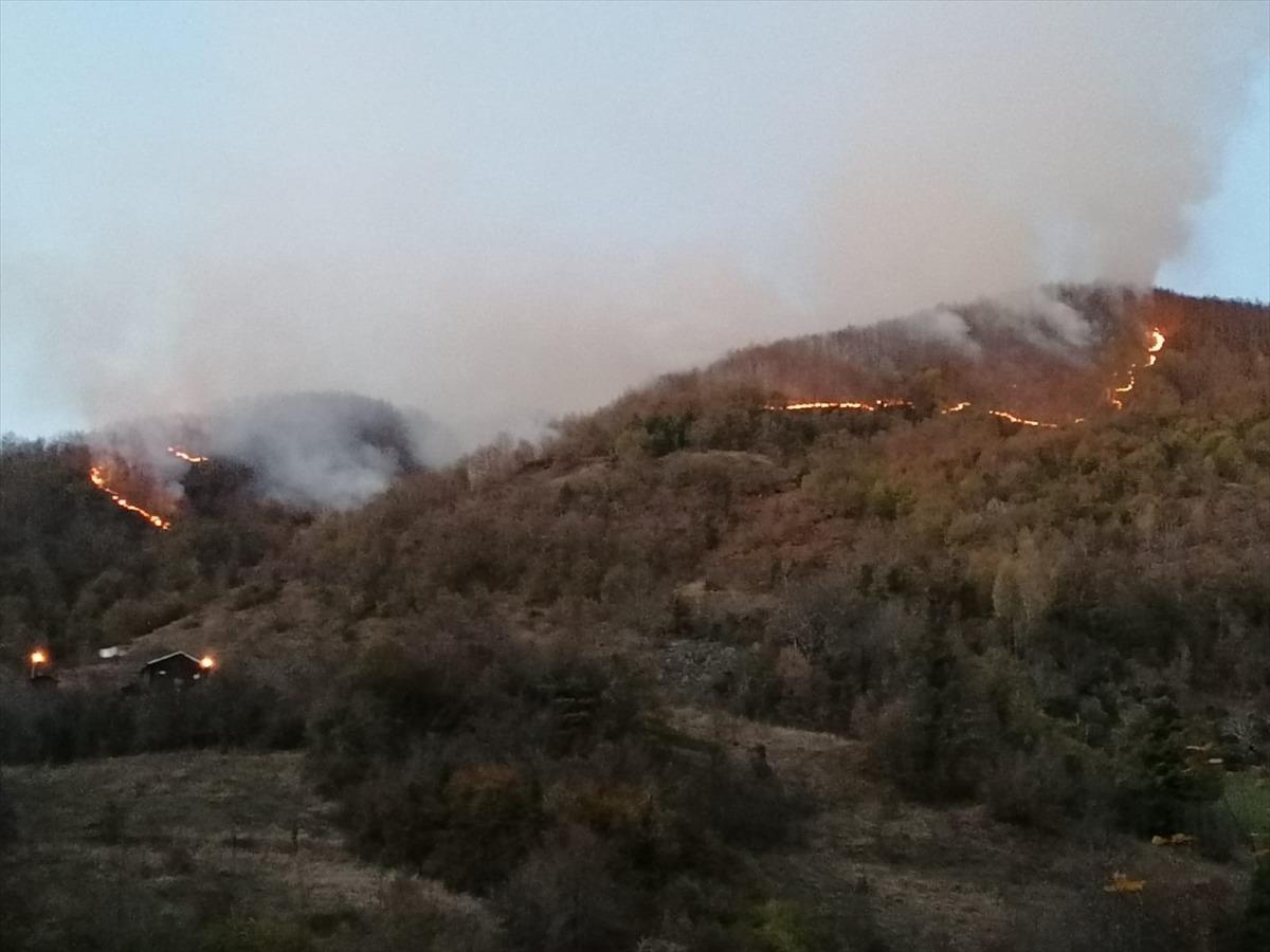 Kastamonu'da orman yangını