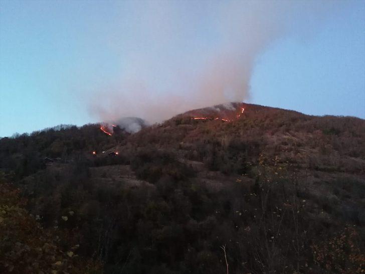 Kastamonu'da orman yangını G2
