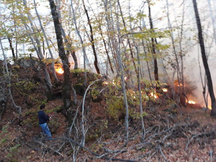 Kastamonu'da orman yangını G3