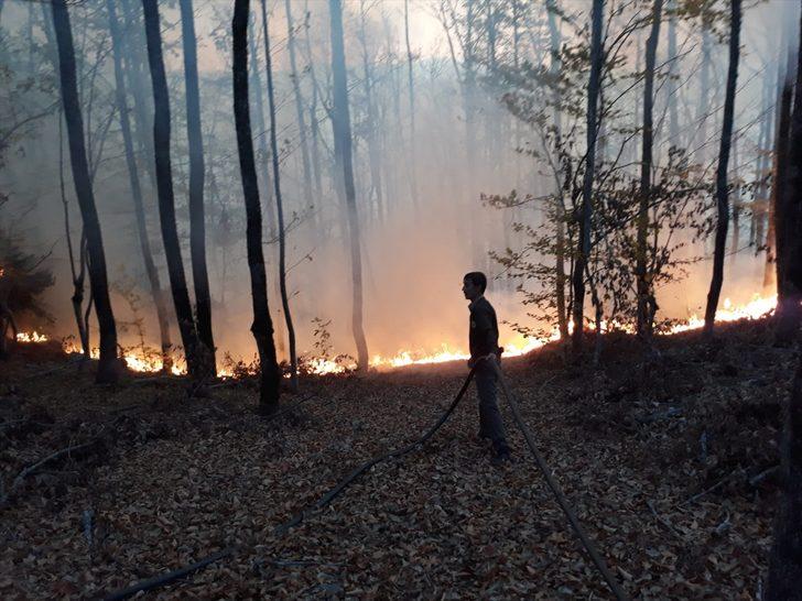 Kastamonu'da orman yangını G4