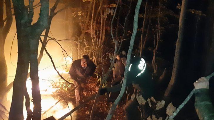 Kastamonu'daki orman yangını G1