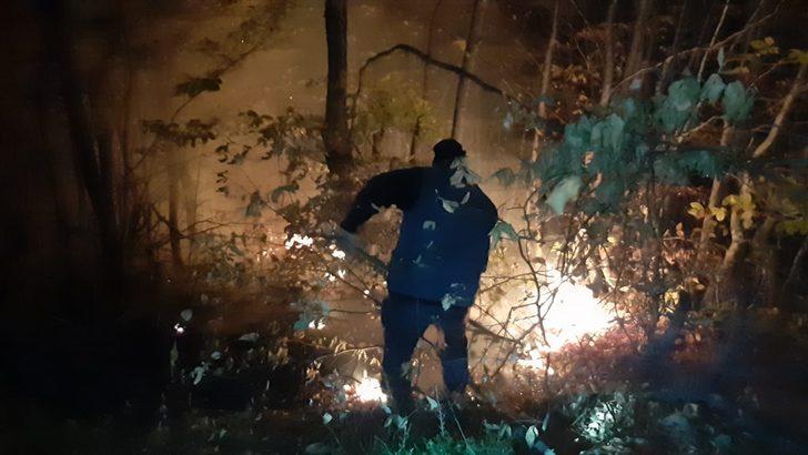 Kastamonu'daki orman yangını G2