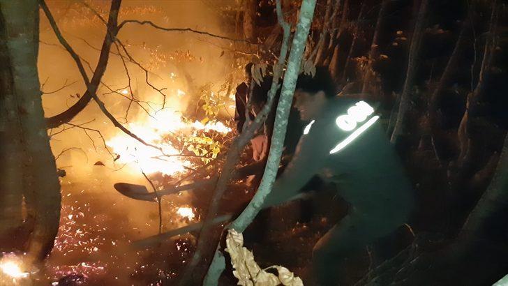 Kastamonu'daki orman yangını G3