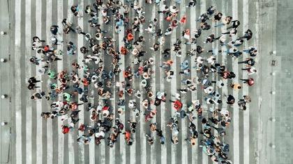 Wikipedia'nın kurucu ortağından 'Facebook'a rakip' platform: WT:Social