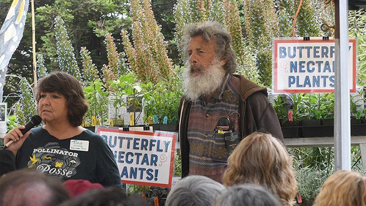 Tam 47 yıldır hiç durmadan kelebekleri sayıyor G3