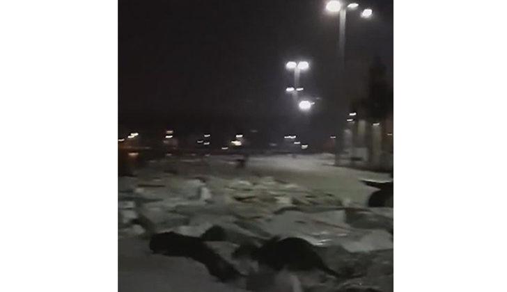 İstanbul sahillerinde su samuru sürprizi! G5