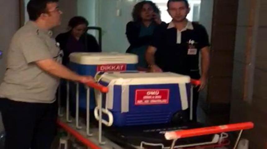 Ev hanımının organları 3 hastaya umut oldu