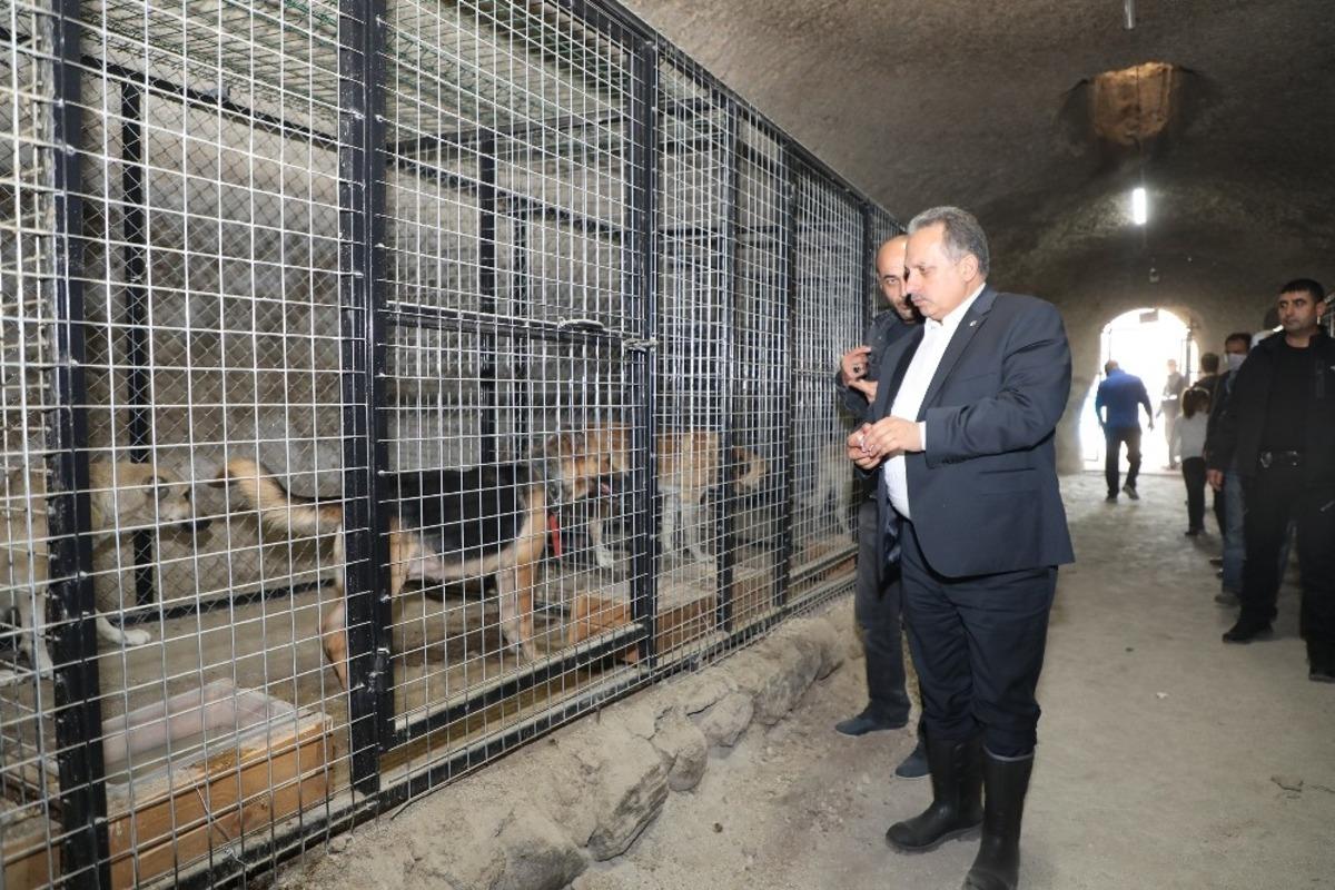 Başkan Yal&ccedil;ın sevimli dostlarla