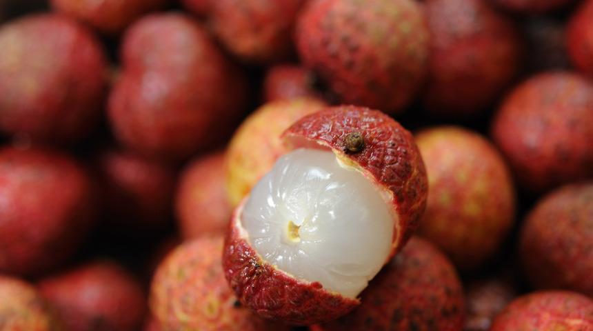 Liçi meyvesi nedir, Liçi meyvesinin faydaları nelerdir? 