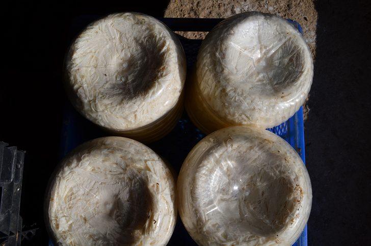 Kembos peyniri: Yerin 400 metre altından gelen lezzet G5