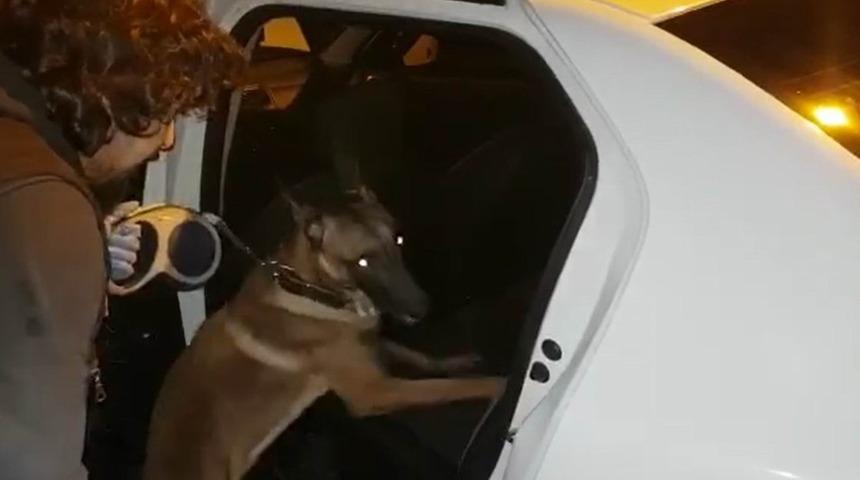 Narkotik k&ouml;peği uyuşturucu tacirlerinin korkulu r&uuml;yası oldu