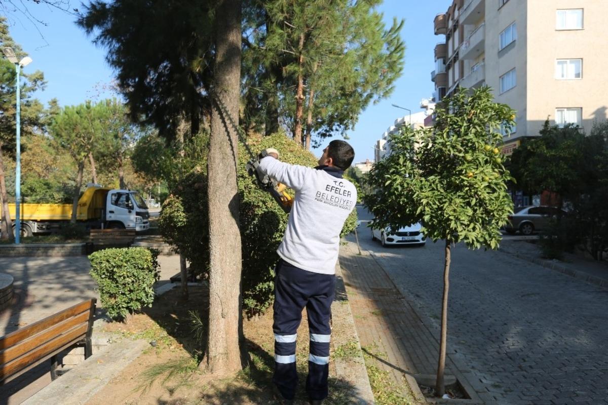 Efeler Belediyesi yeşil alanlarda bakım &ccedil;alışmalarına devam ediyor