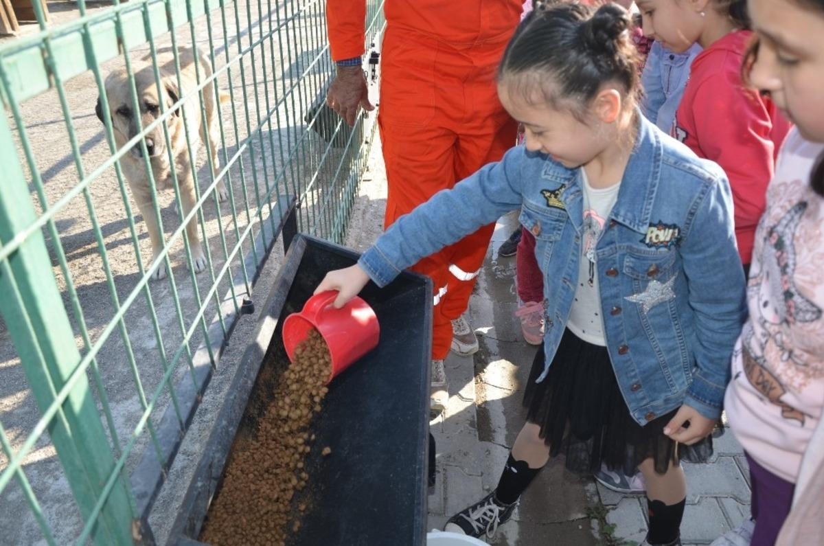 Miniklerin biriktirdikleri har&ccedil;lıkları sokak hayvanlarına mama oldu