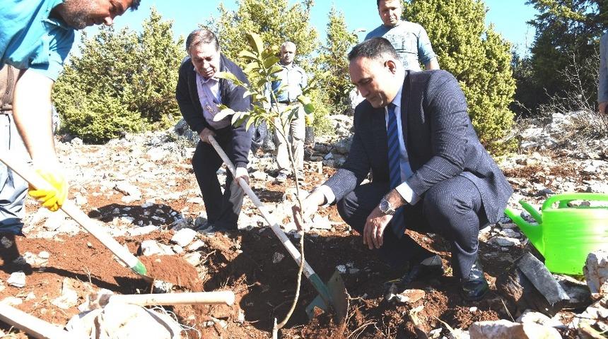 Toroslar&rsquo;da 450 adet fidan toprakla buluştu