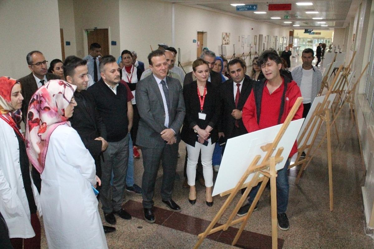 Doğanın rehberini resimlere anlattı