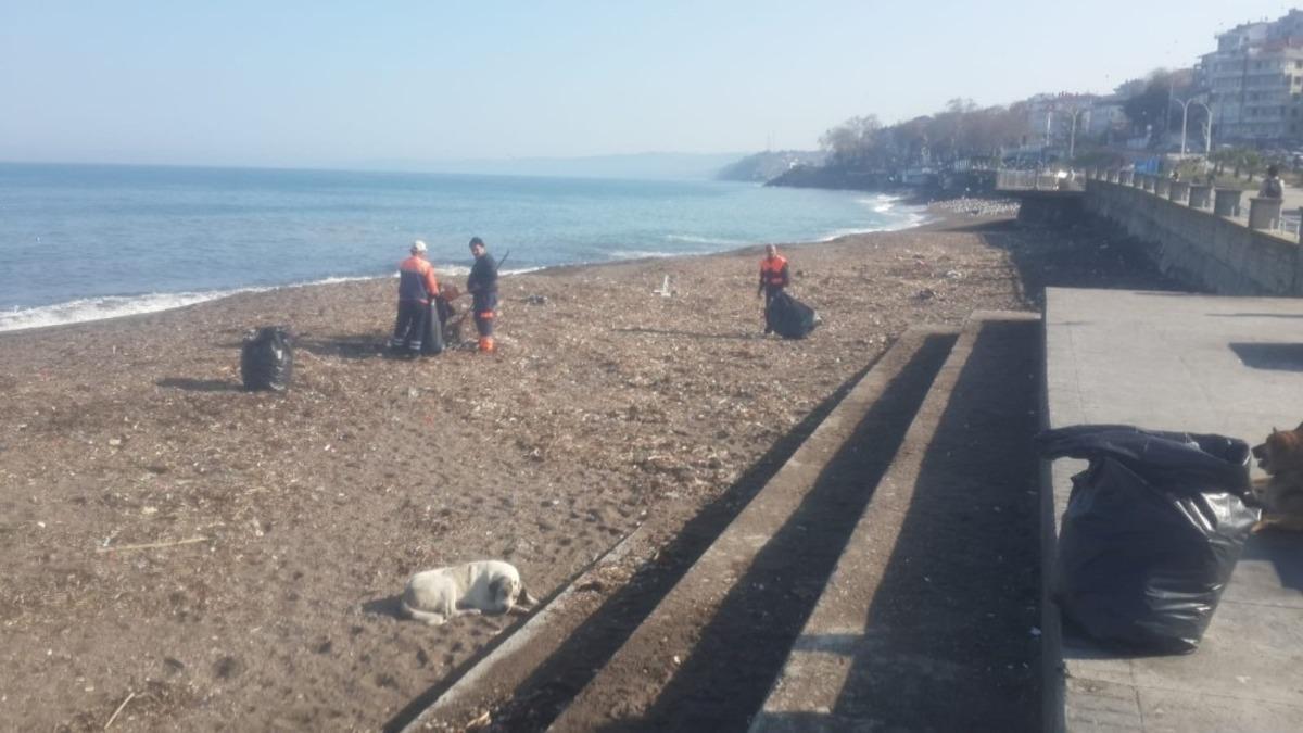 Ak&ccedil;akoca sokakları ve sahilleri temizleniyor