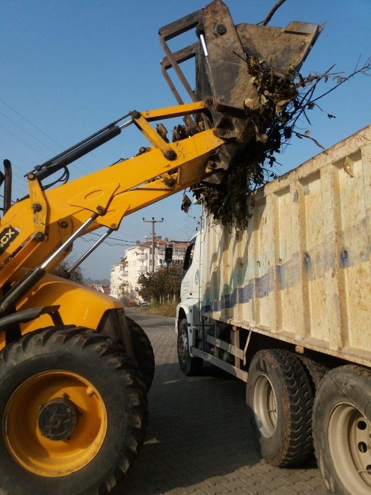 Akçakoca sokakları ve sahilleri temizleniyor G4